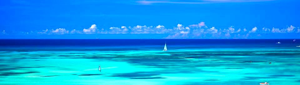 Local and international movers and packers on Aruba Caribbean moving services