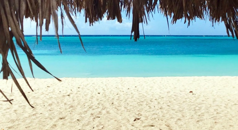 Best movers reviews in Aruba The Best all-inclusive Moving and Relocation Company on Aruba and Worldwide, with awareness on The Environment